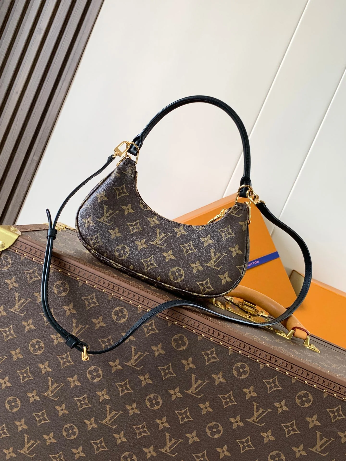 LV Catchy PM 24cm Brown Monogram Canvas & Cowhide