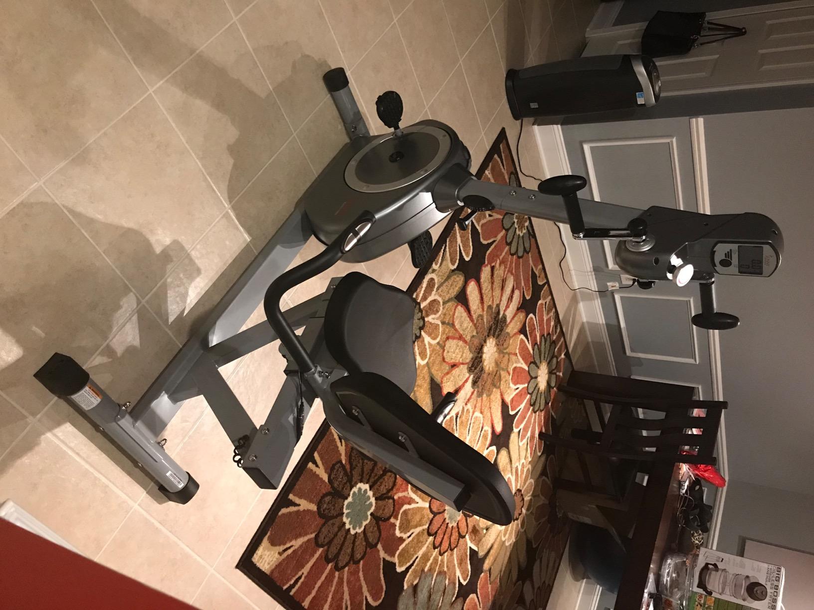 Sunny Health & Fitness Recumbent Bike SF-RB4631 with Arm