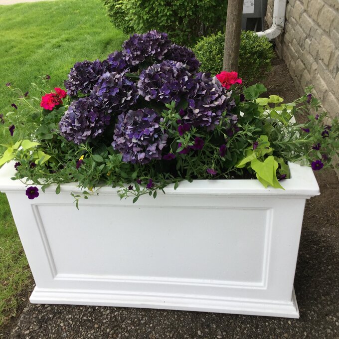 Anastasiya Self Watering Plastic Planter Box