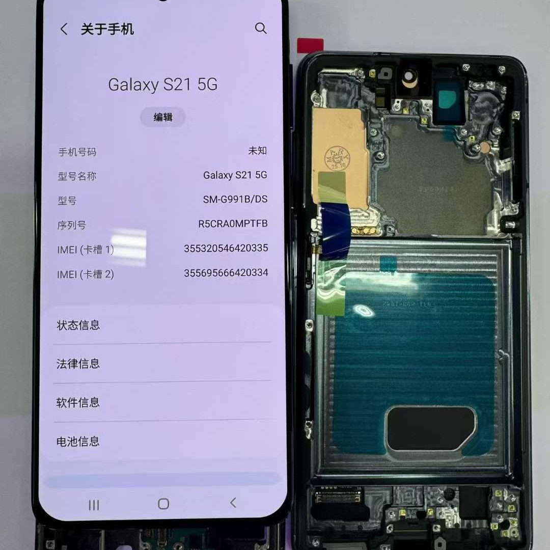 Galaxy S21 LCD / OLED Screen With Frame - back view