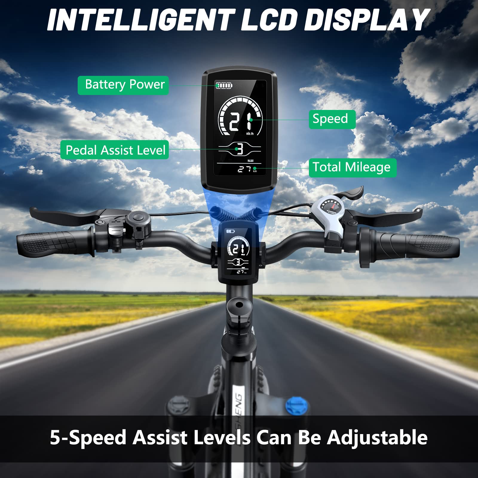Electric Bike for Adults