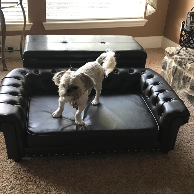 Larock Dog Sofa