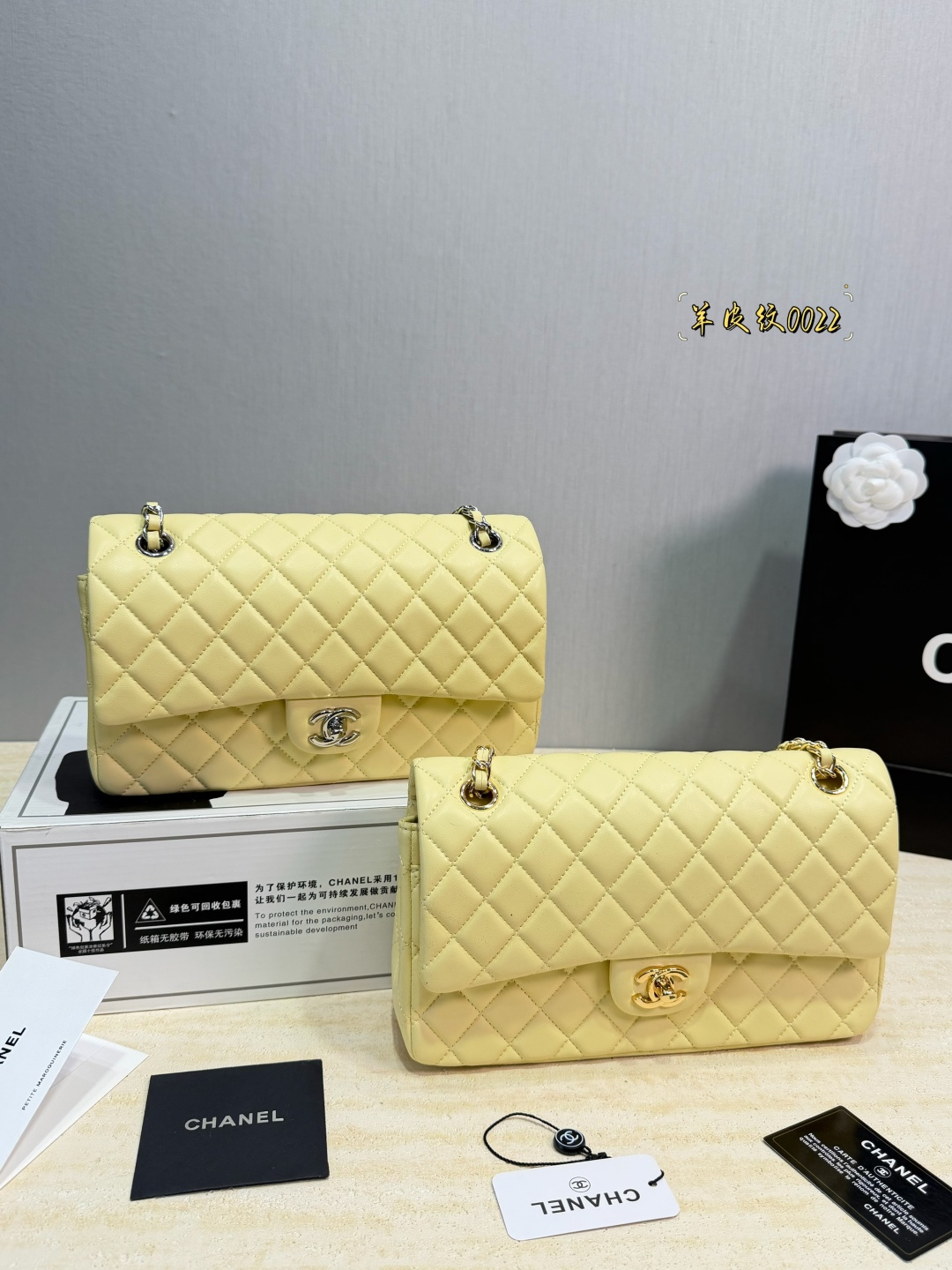Chanel Classic Flap Leather