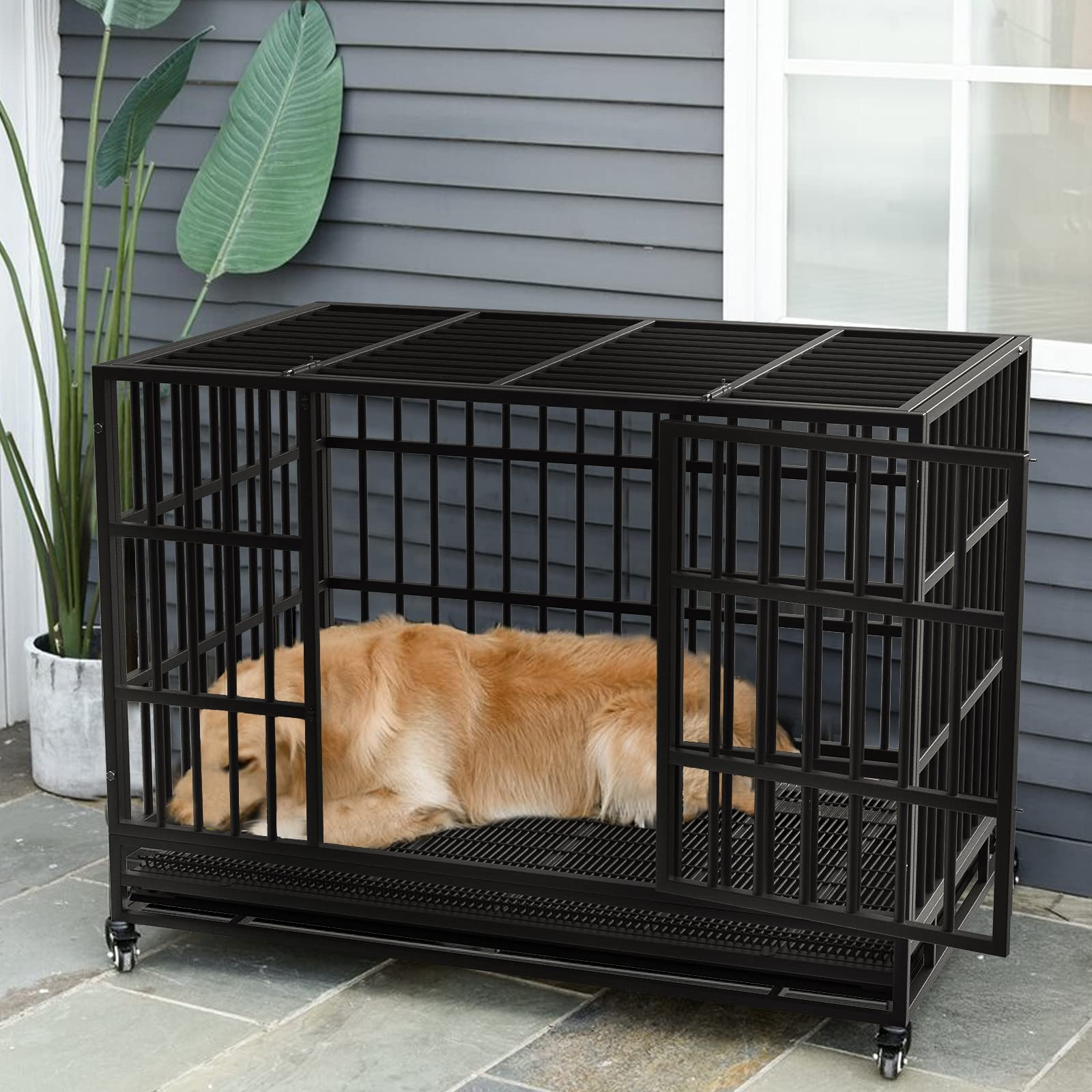 Heavy Duty Dog Crate