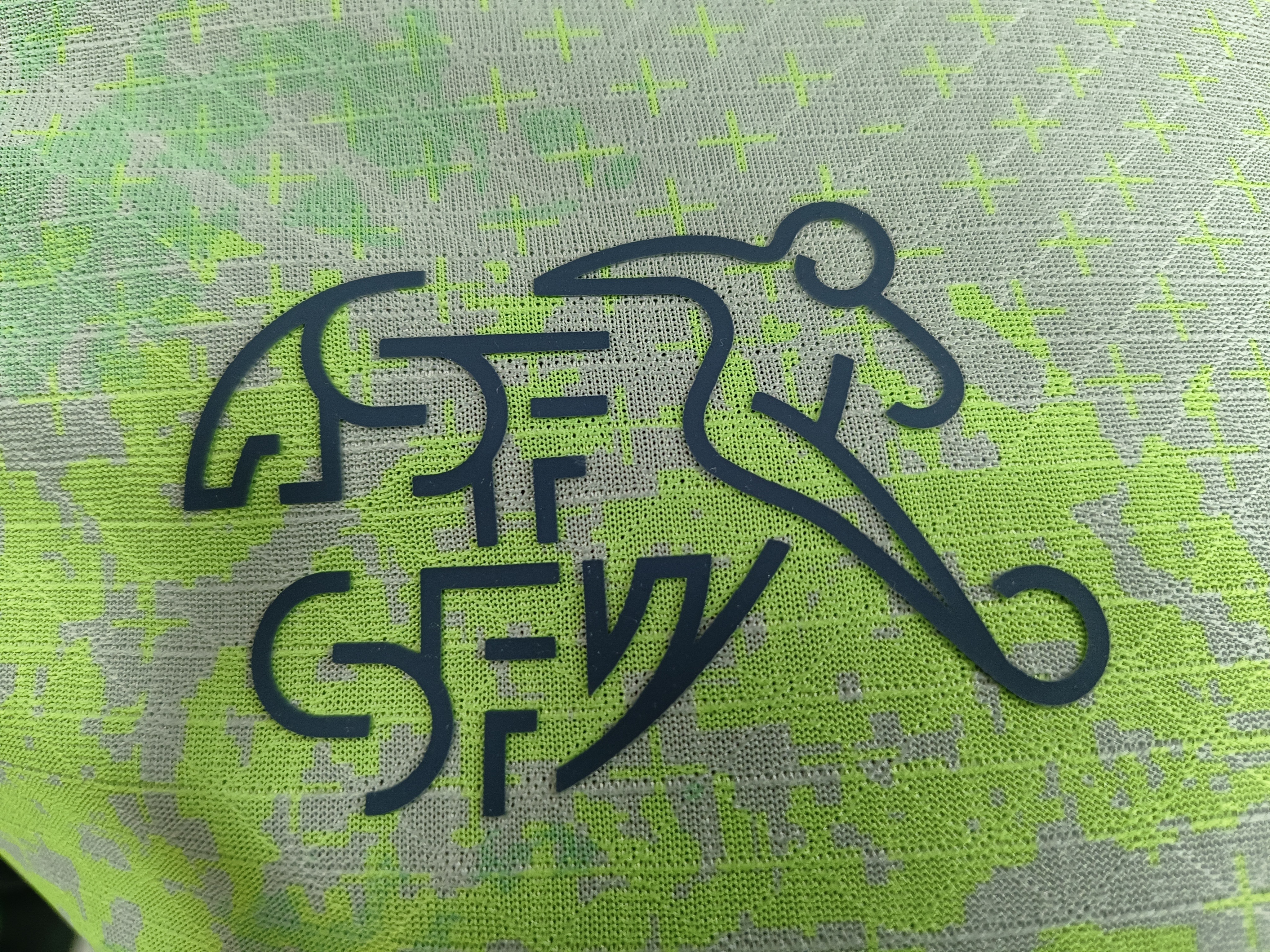 Switzerland away jersey