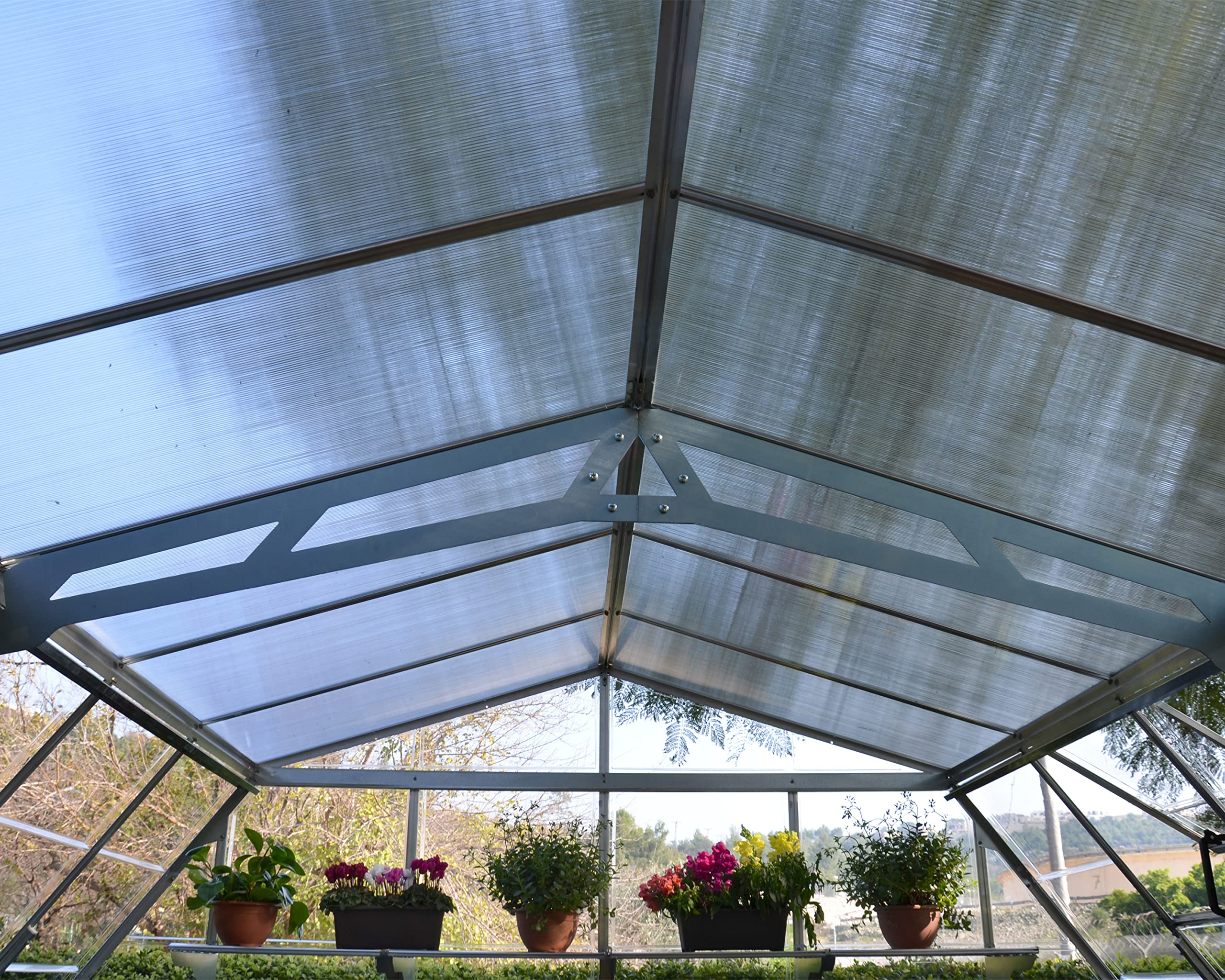 Greenhouse, Silver