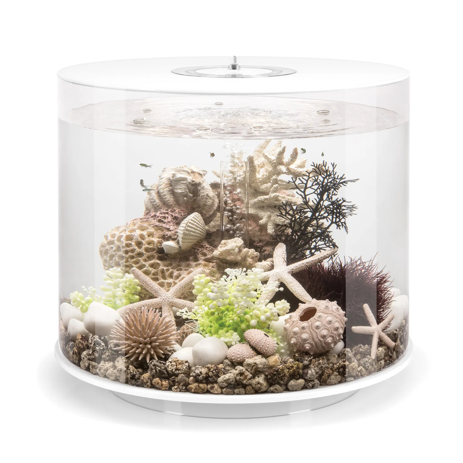 Tube 35 9.2 Gallon Column Aquarium Tank with Standard Light