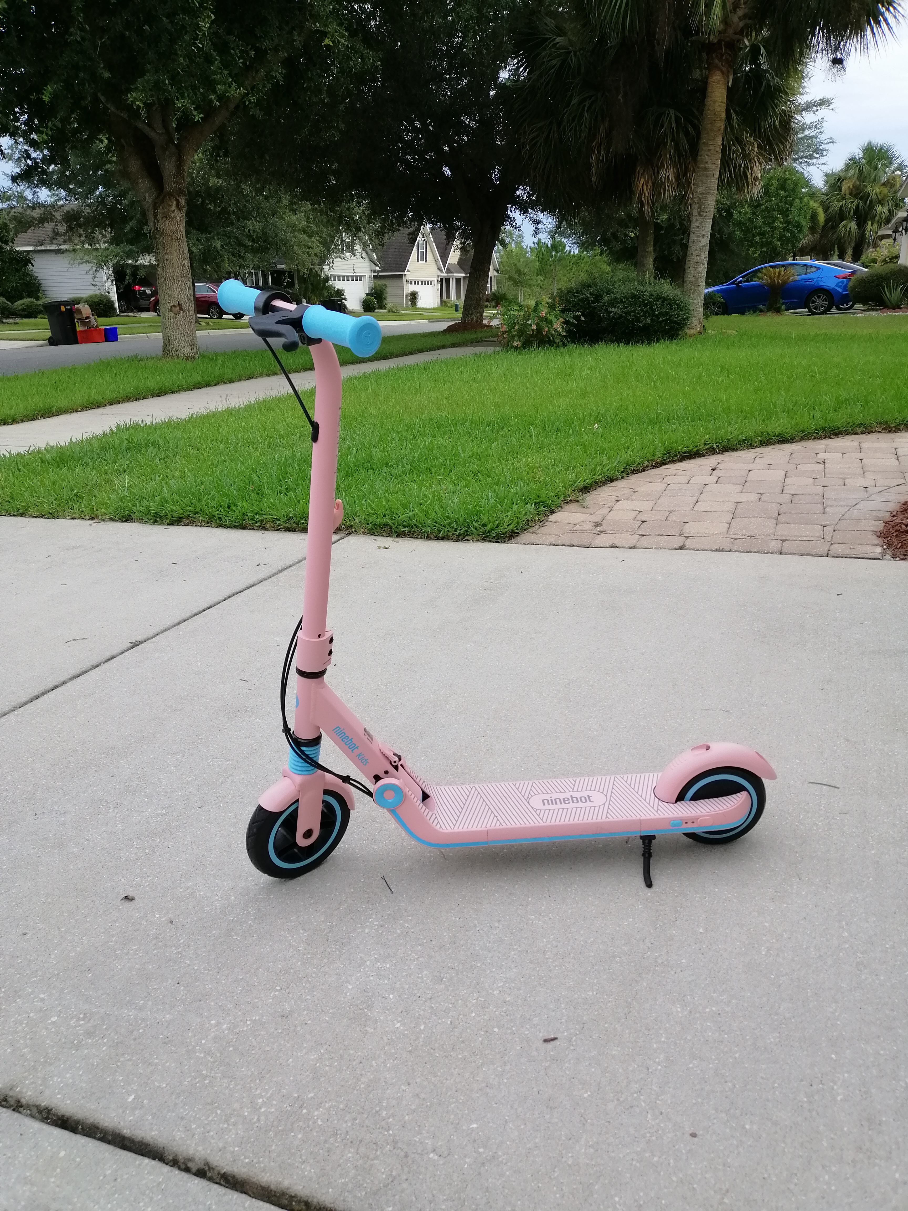 Segway Ninebot Electric Kick Scooter for Kids