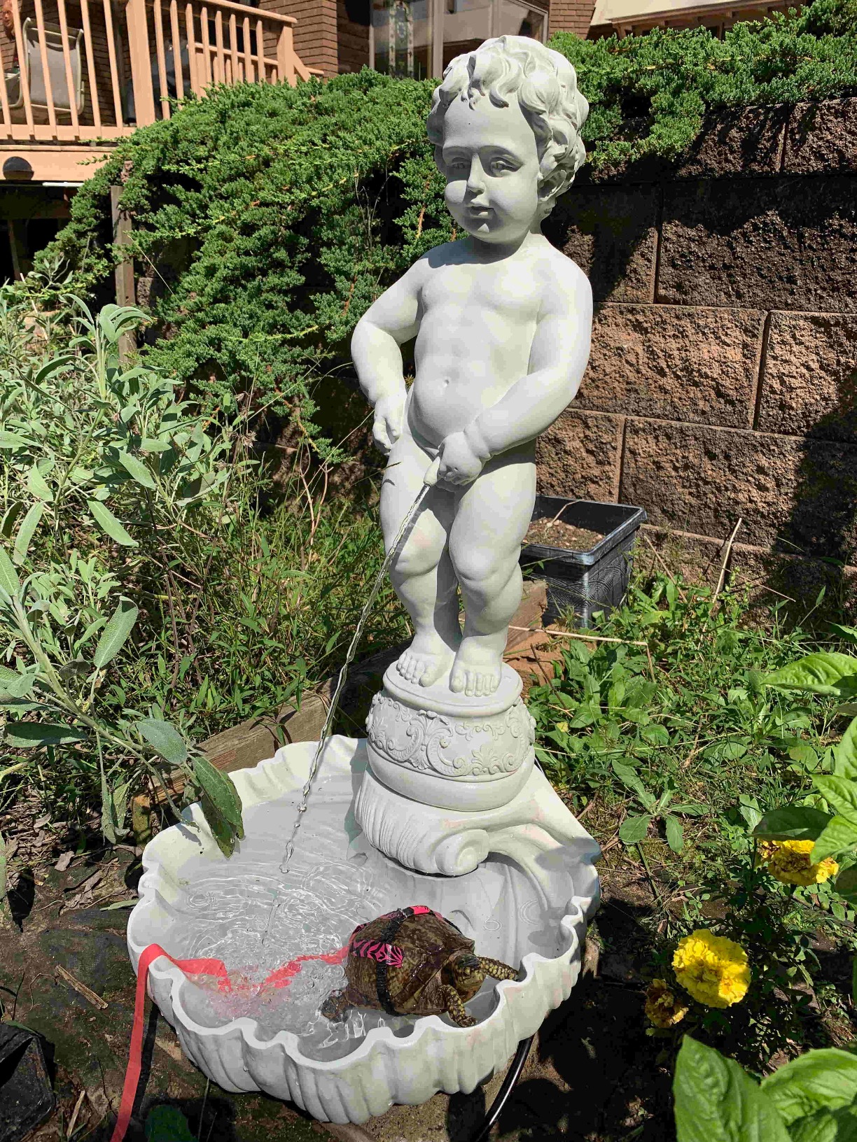 Complete Manneken Pis Peeing Boy Water Fountain Garden Decor