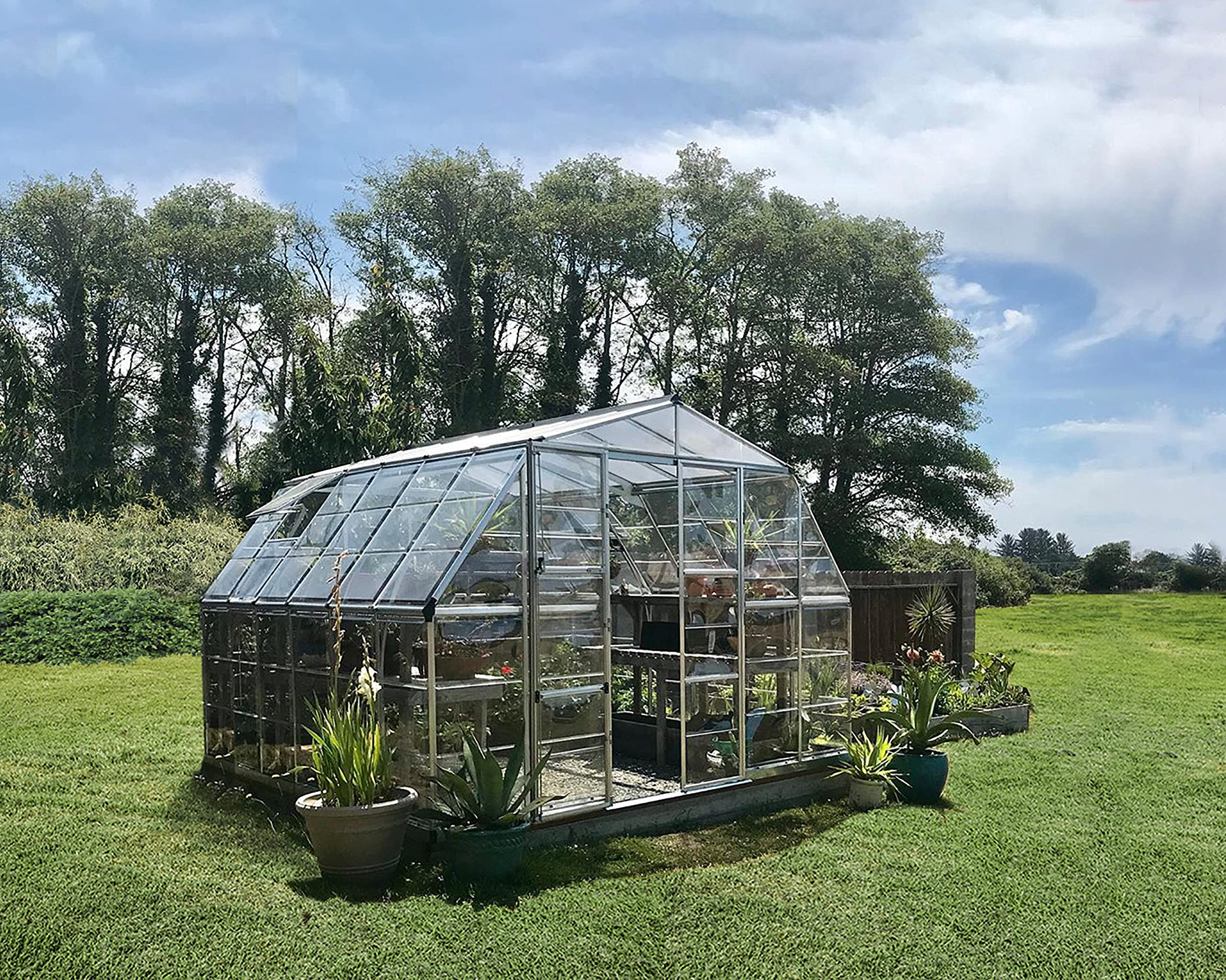 Greenhouse, Silver