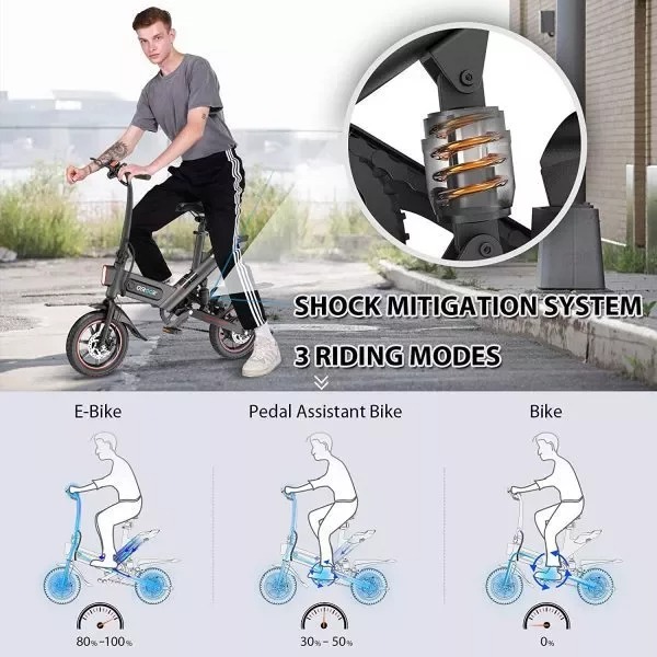 450W Electric Bike