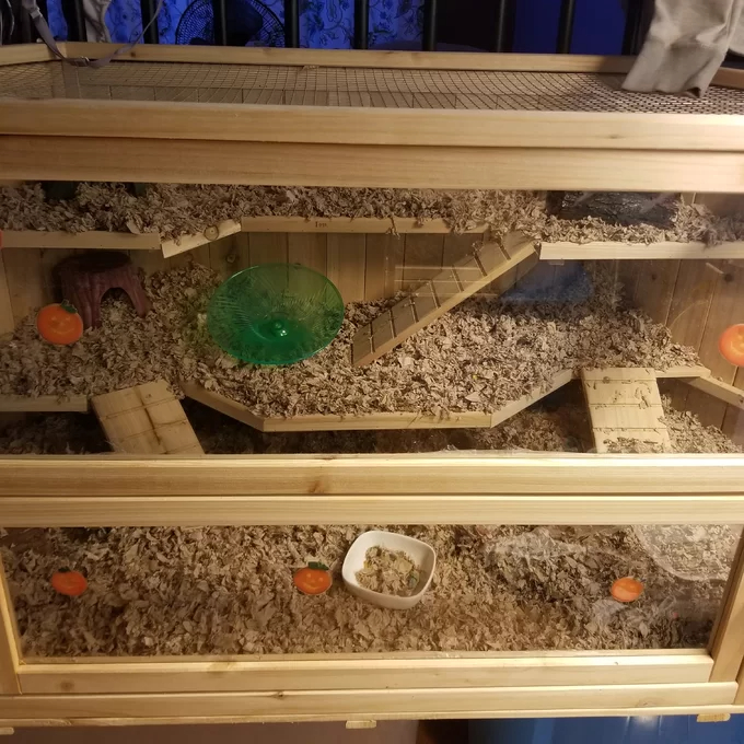 Axtell Cage with Ramp
