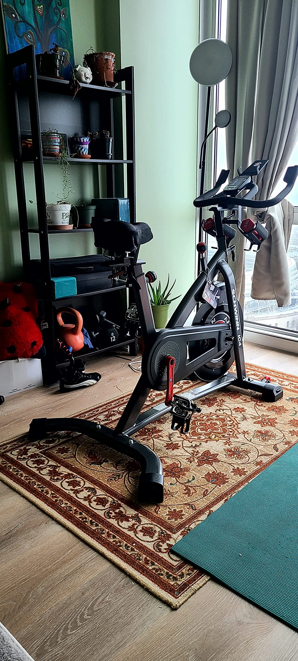 Schwinn Fitness Indoor Cycling Exercise Bike Series