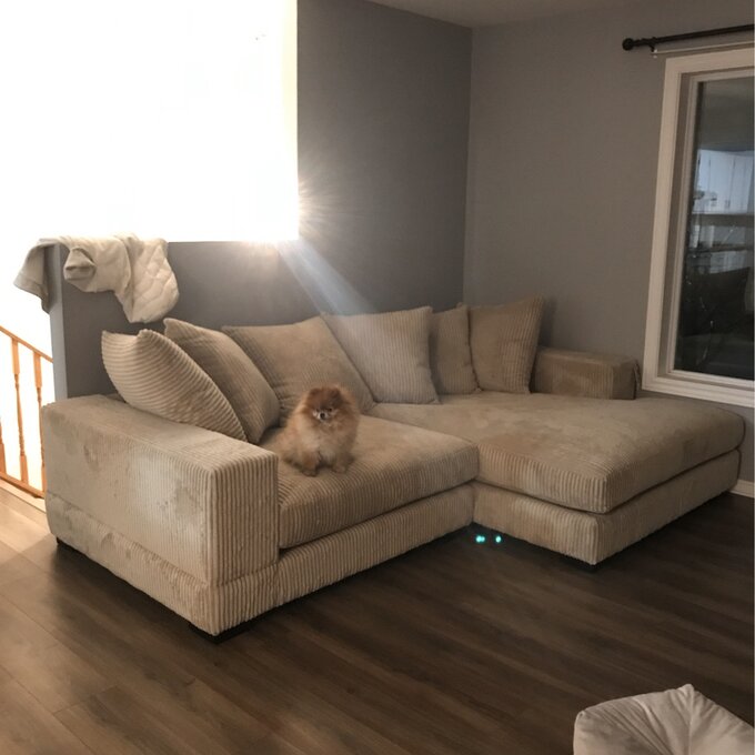 Luxe 2 - Piece Upholstered Chaise Sectional