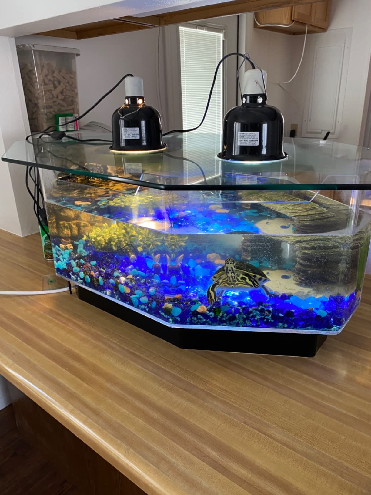 28 Gallon AquaTable Aquarium Octagon