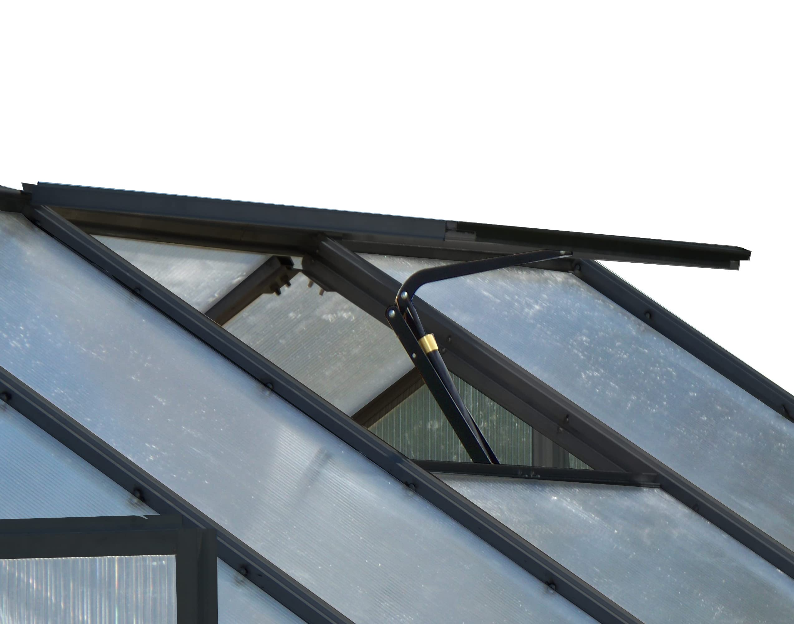Greenhouse, Black