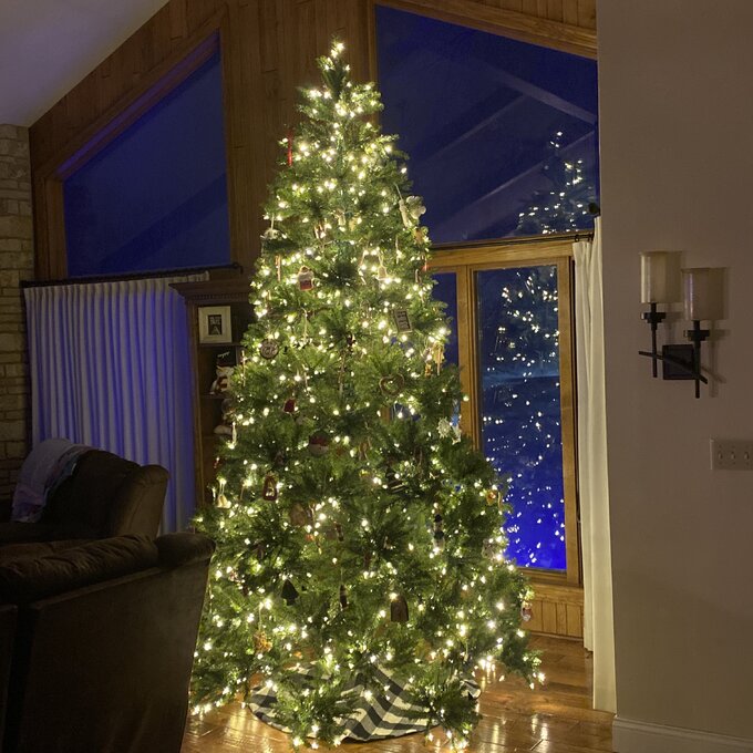 Dunhill Fir 120'' Lighted Artificial Fir Christmas Tree