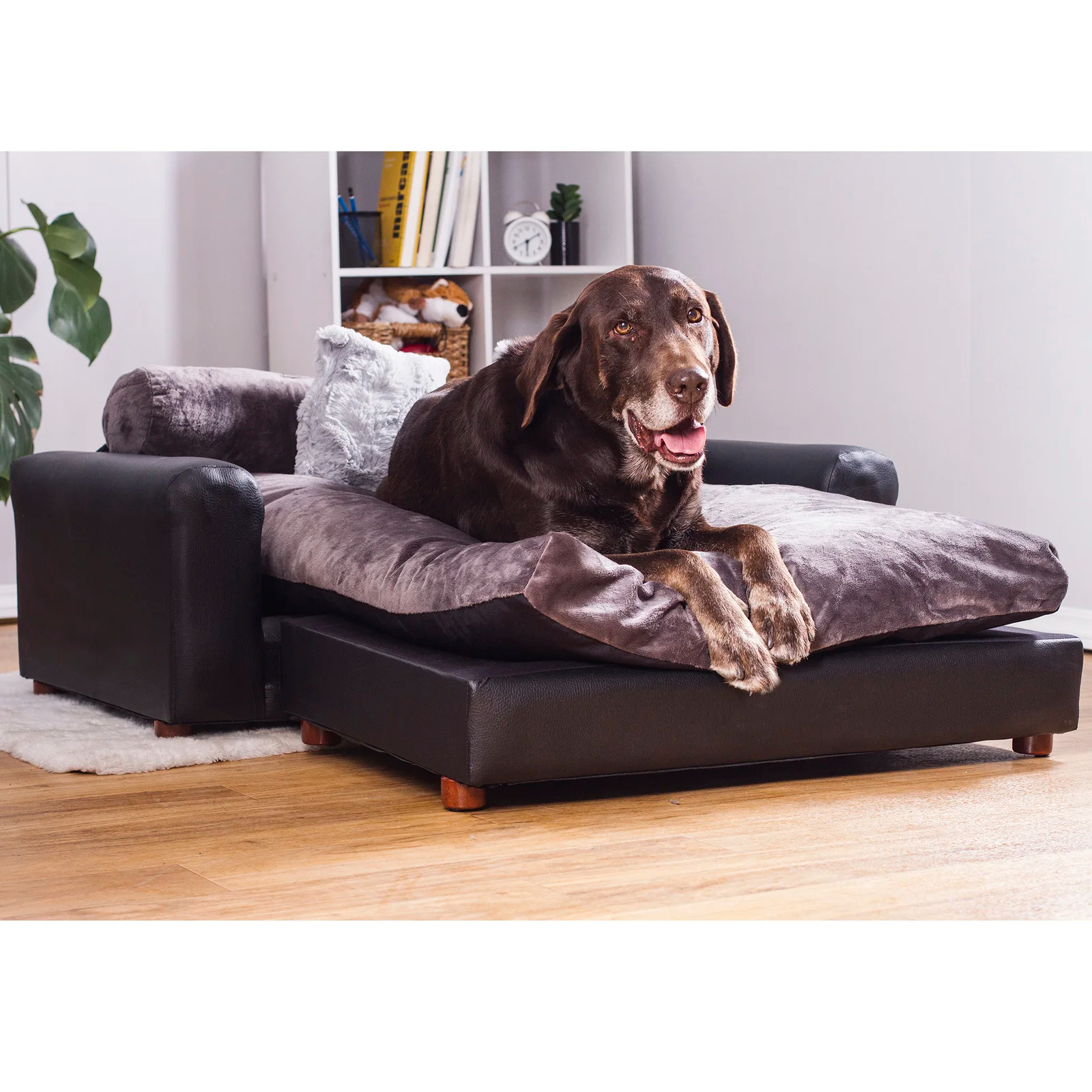 Kayenta Premium Dog Sofa