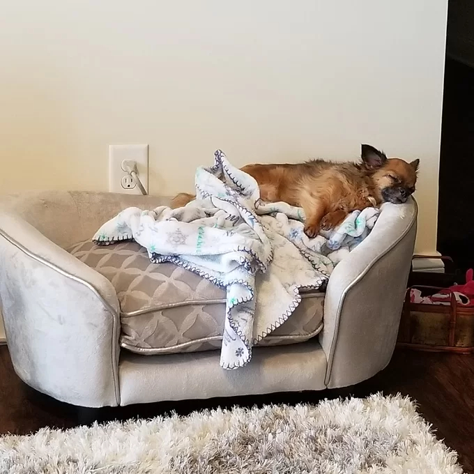 Lola Dog Sofa