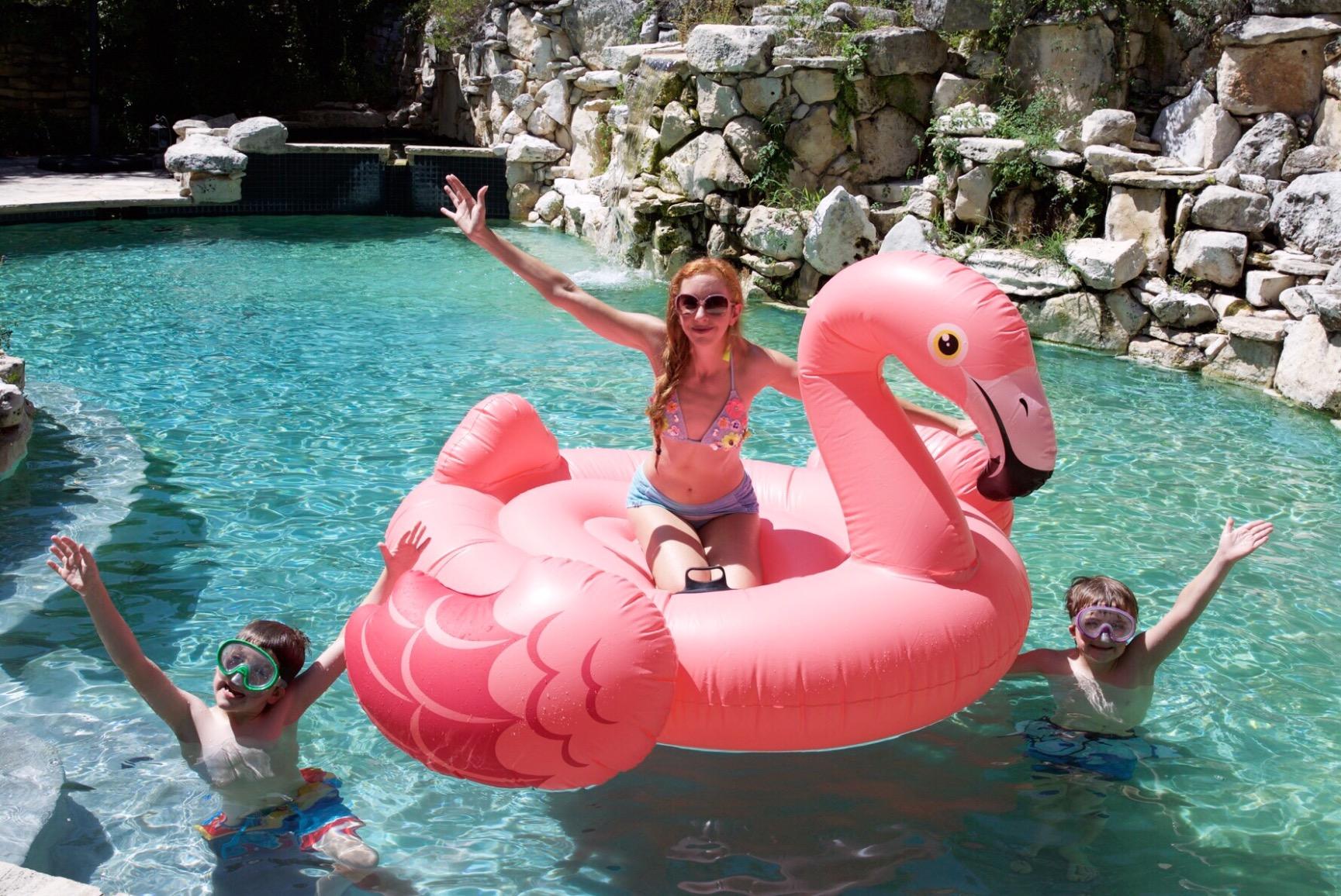 Flamingo Party Island