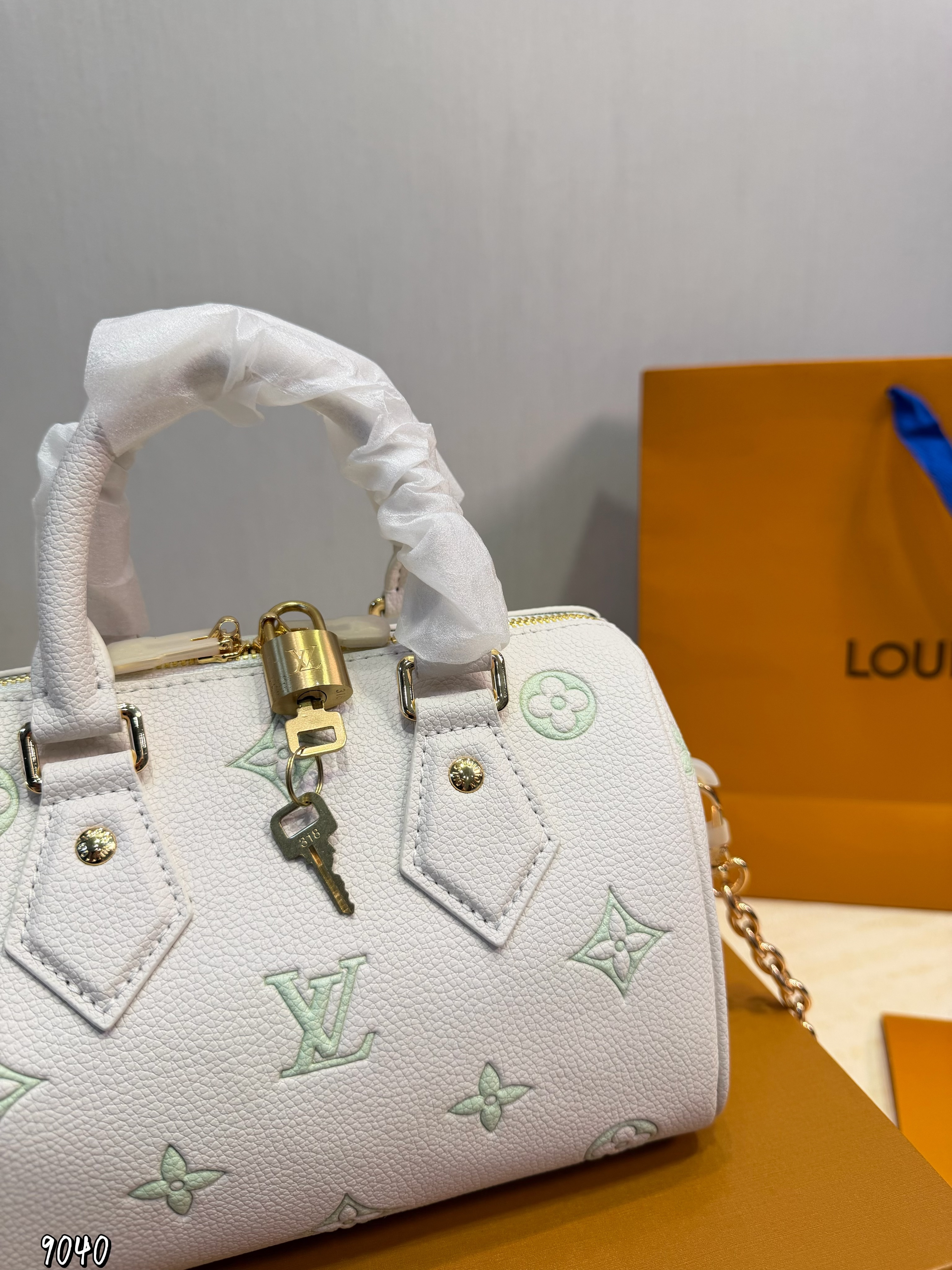 LV Speedy bag