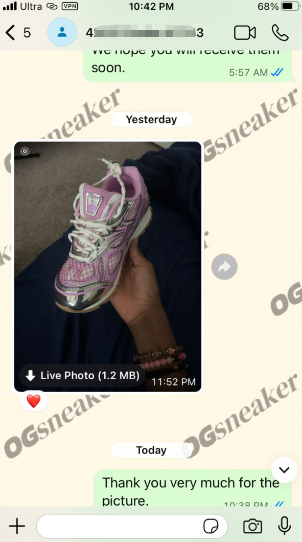 Pasted Image
