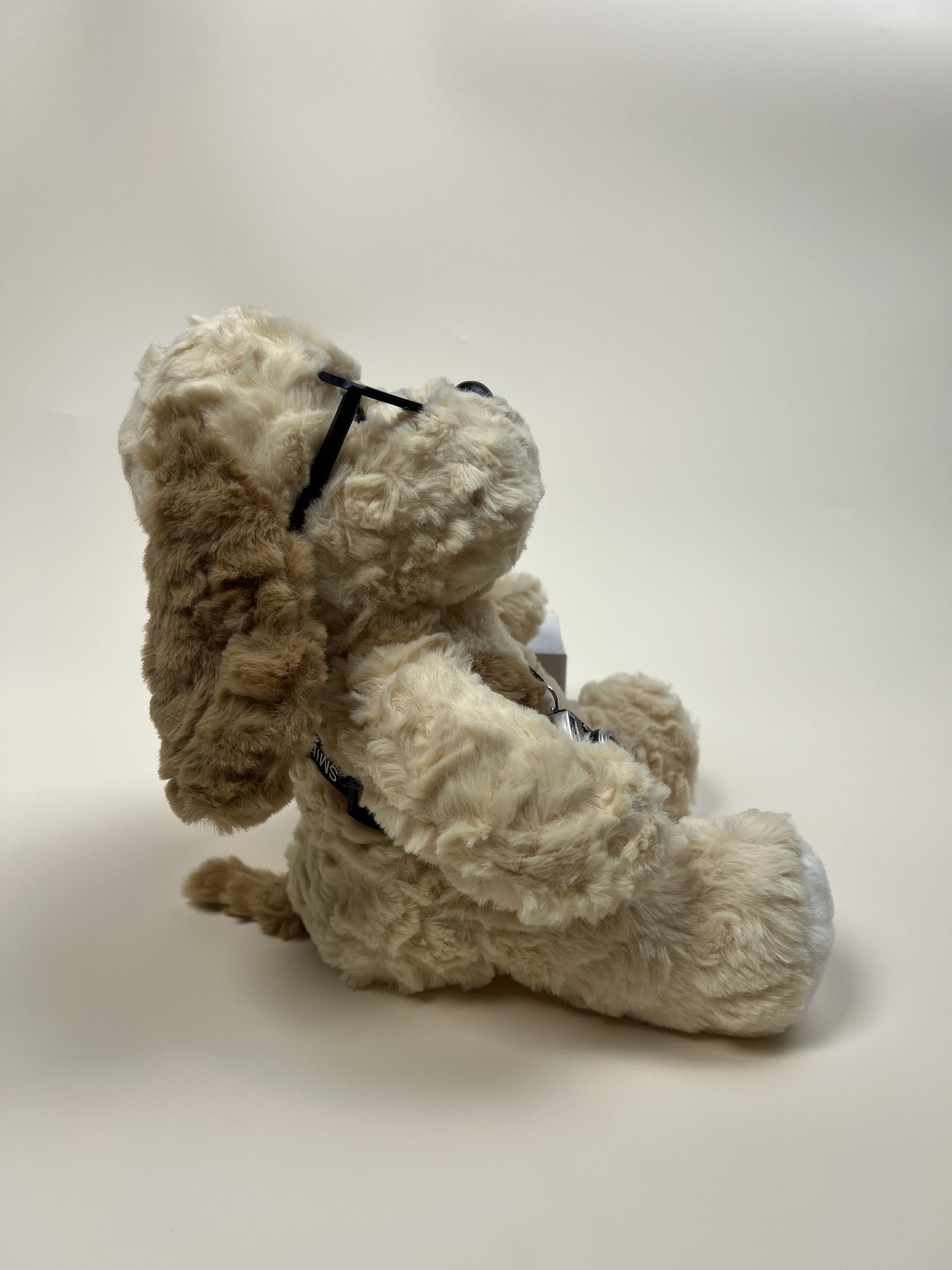 Artistic Photographer's Plush Dog Toy