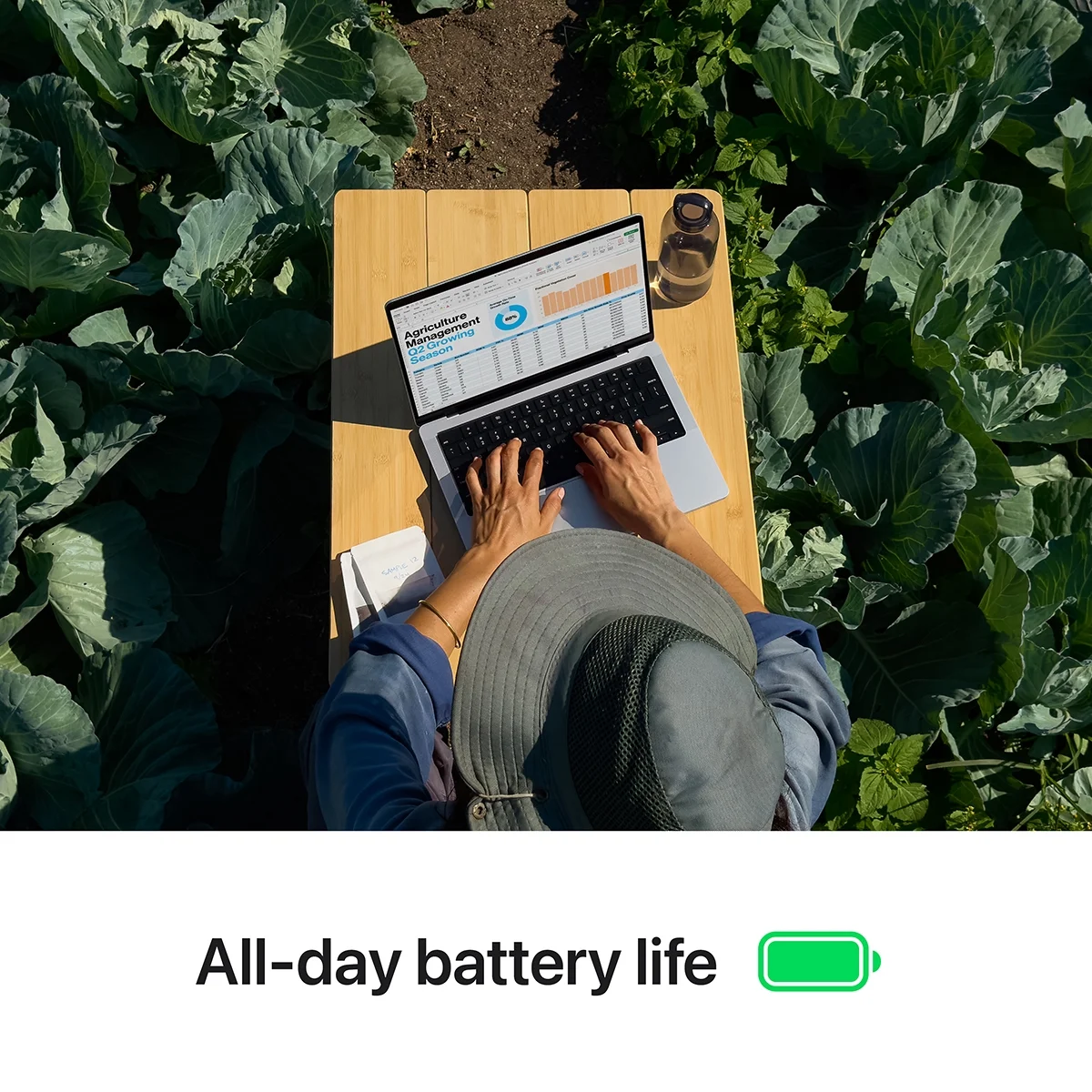 Apple 14