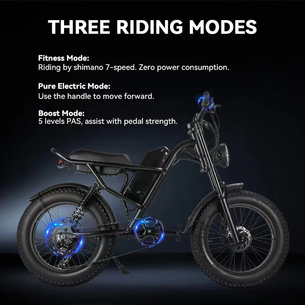 Riding'times Z8 20in Fat Tire Electric Bike, 1500W, 16Ah
