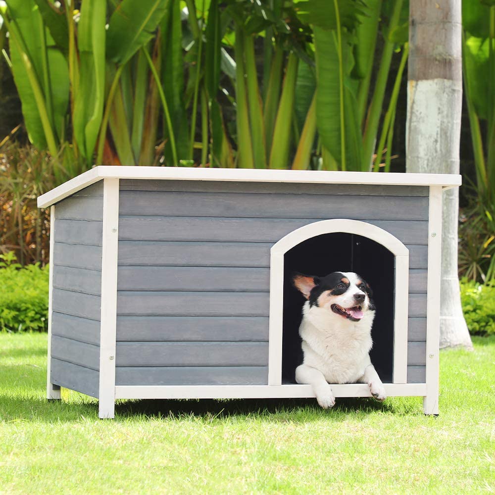 Outdoor Wooden Dog House with Hinges