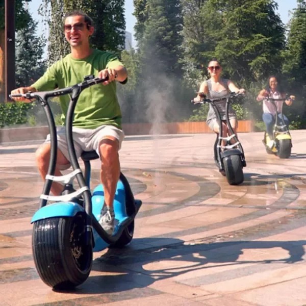Adult electric scooter
