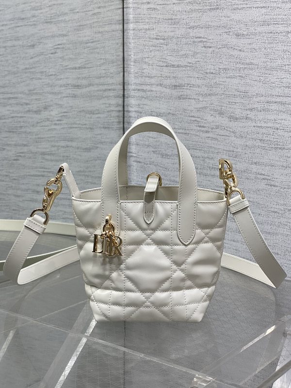 Dior Toujours Vertical Tote Bag Mini White