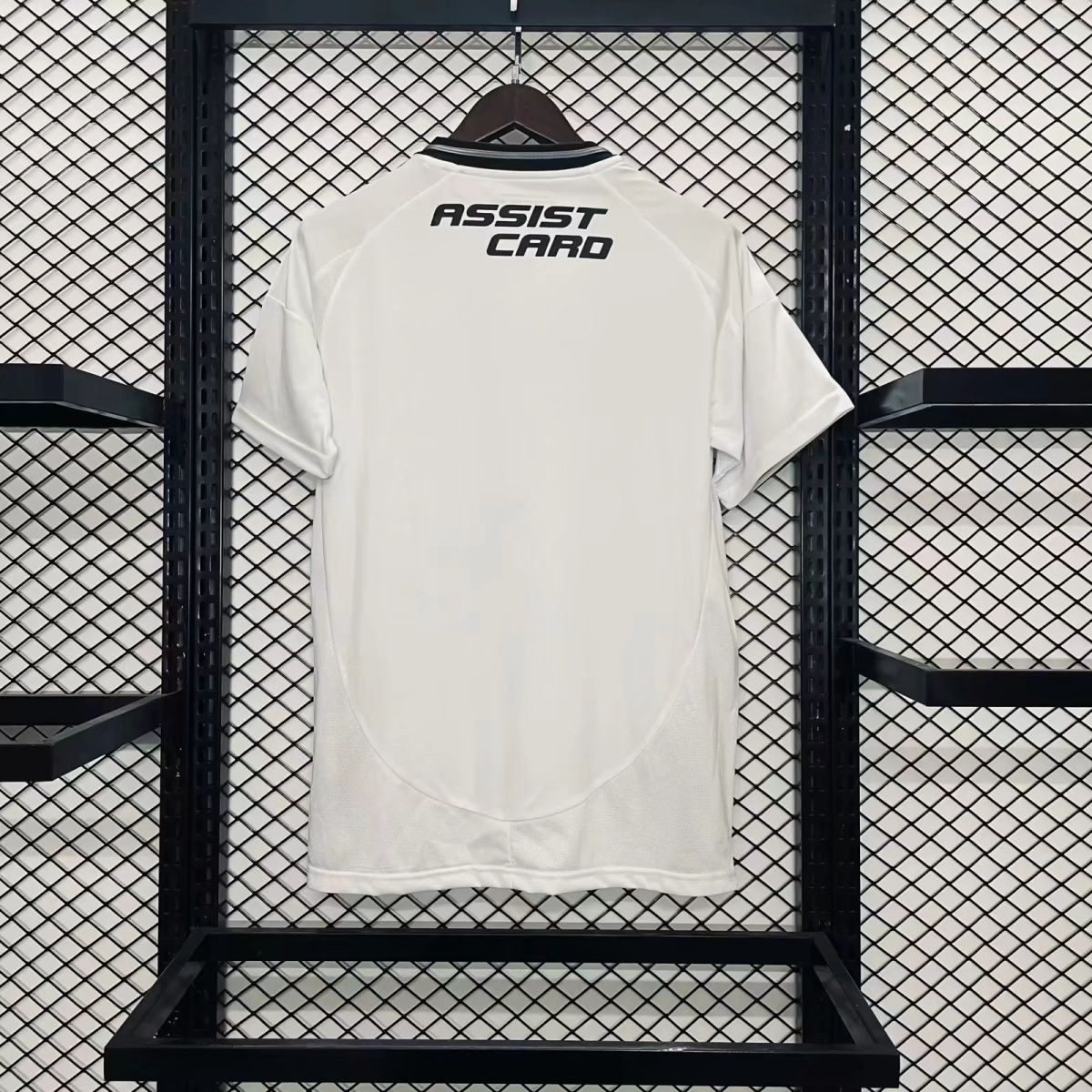 Colo Colo Home Jersey Fan Version 25/26