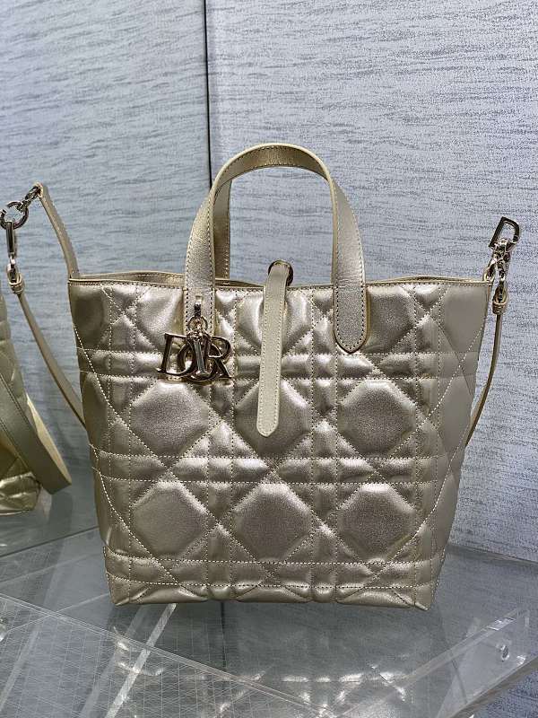 Dior Toujours Vertical Tote Bag Medium Champagne