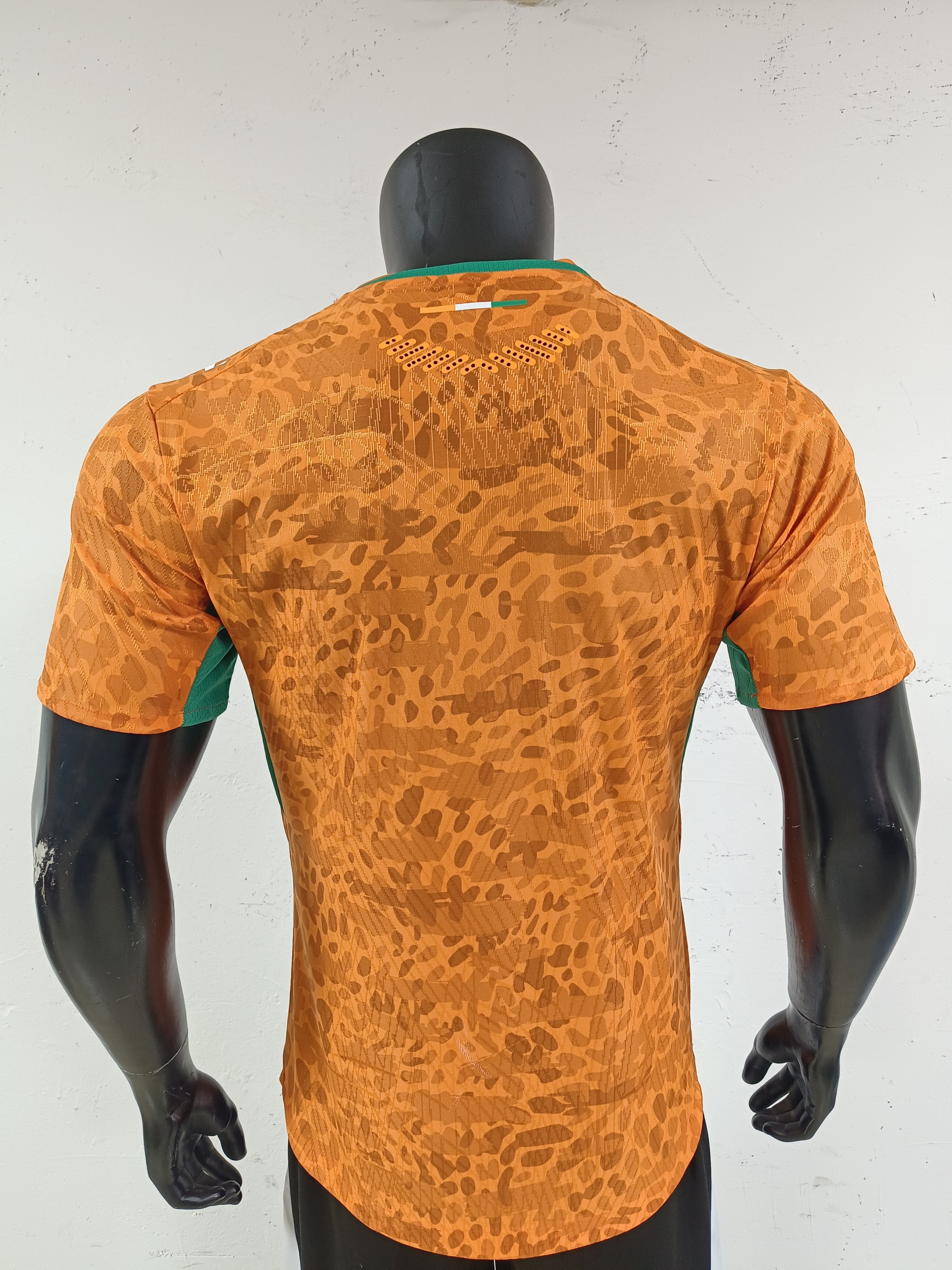 Ivory Coast home ground