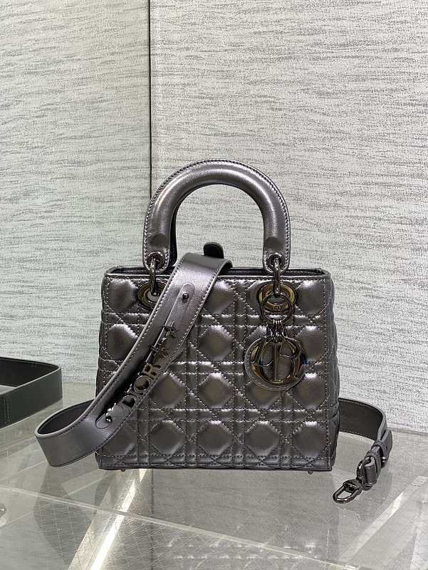 Lady Dior Small Bag Gray