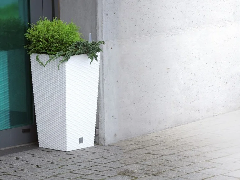 Prosperplast Pot de fleurs Rato Square, avec insert de plantation