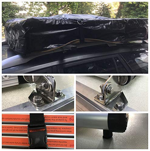 2-3 Person Sunroof Rooftop Tent with Skyline Rainfly and Ladder