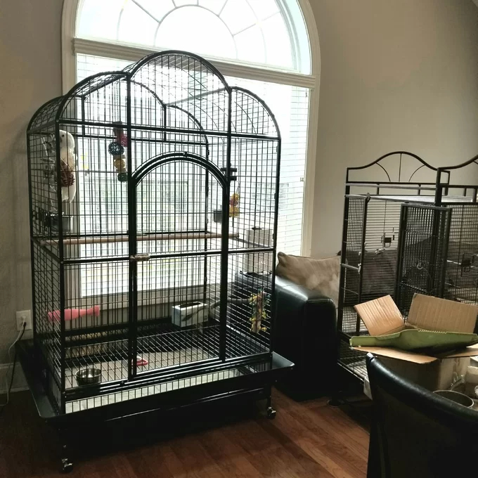Backes 78.25'' Steel Victorian Top Floor Bird Cage with Wheels