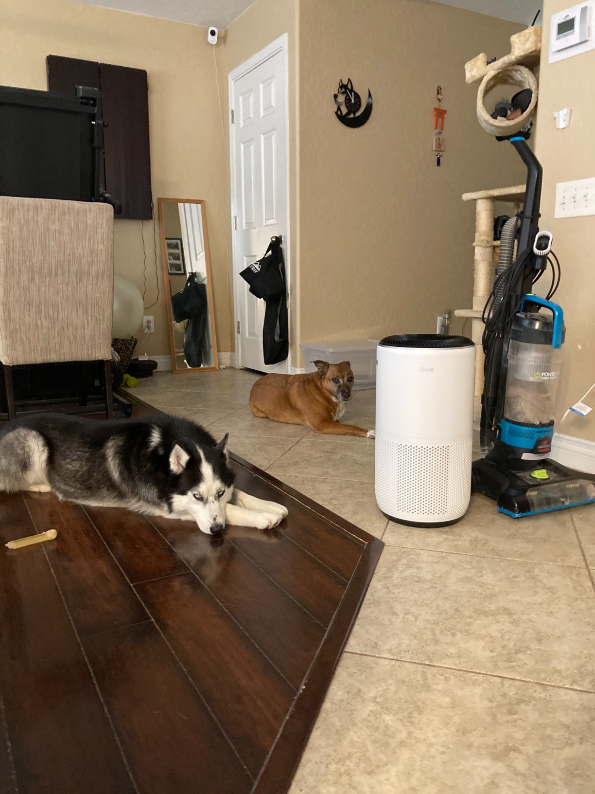 LEVOIT Air Purifiers