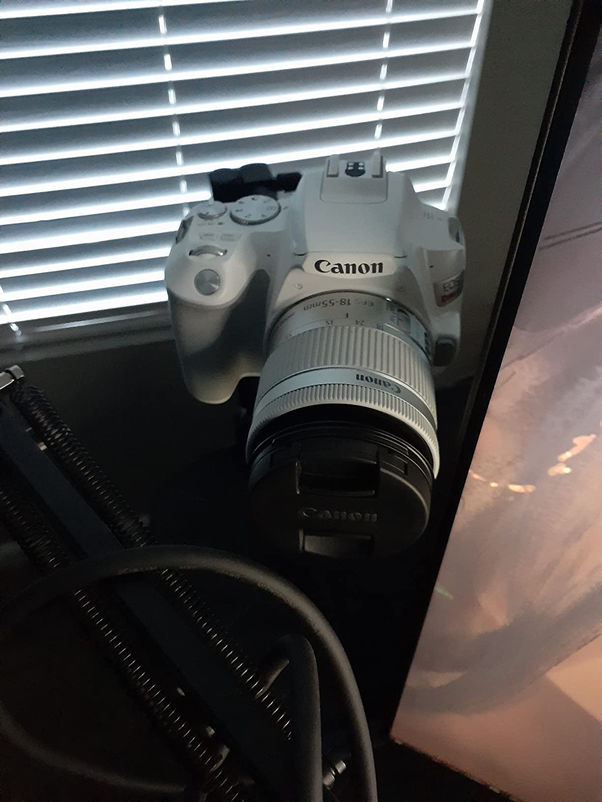 Canon EOS REBEL SL3 Digital SLR Camera with EF-S 18-55mm Lens kit