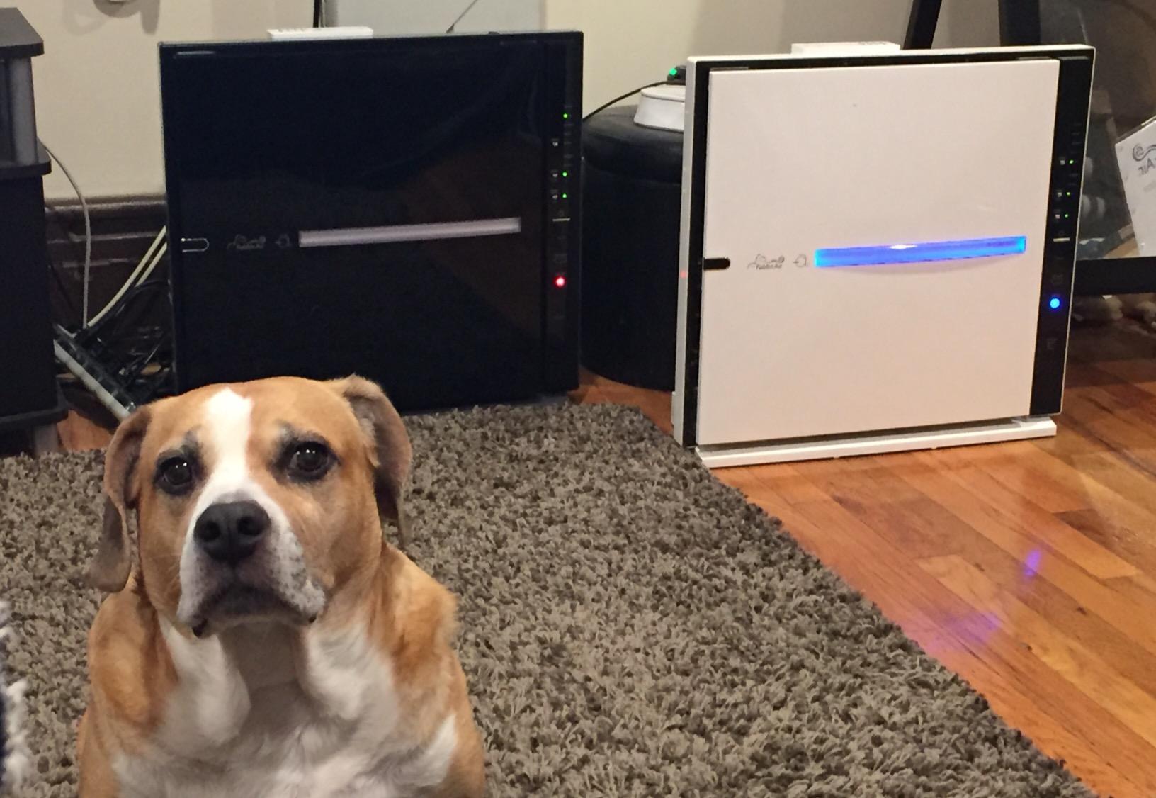 RabbitAir MinusA2 Ultra Quiet HEPA Air Purifier - Stylish