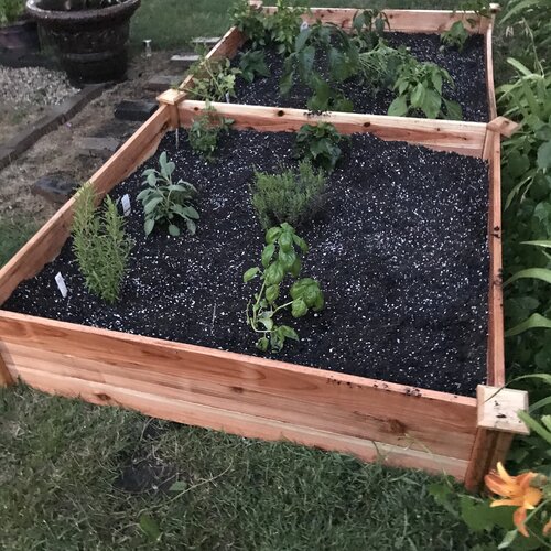 12x4 ft Cedar Raised Garden
