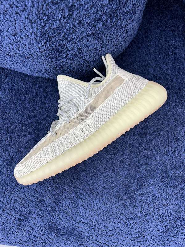 Adidas Yeezy Boost 350