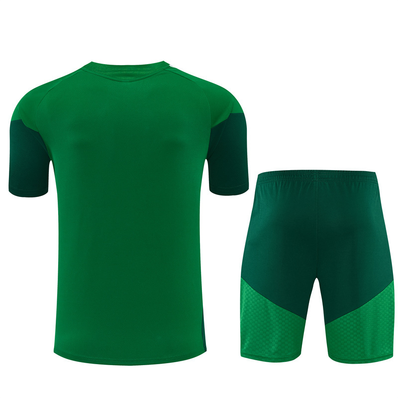 Short Sleeves Algeria 2026/27 Training Suit