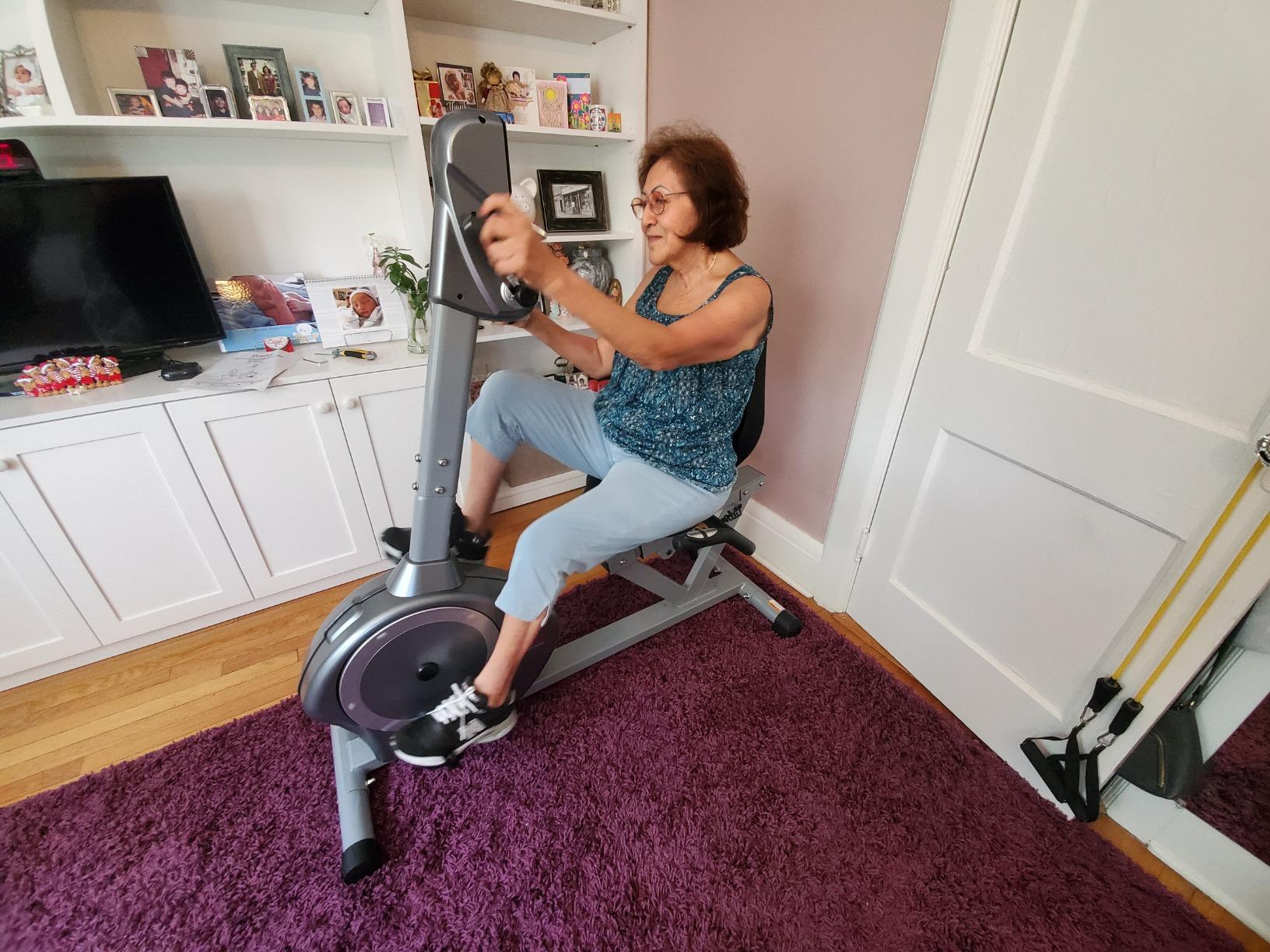 Sunny Health & Fitness Recumbent Bike SF-RB4631 with Arm