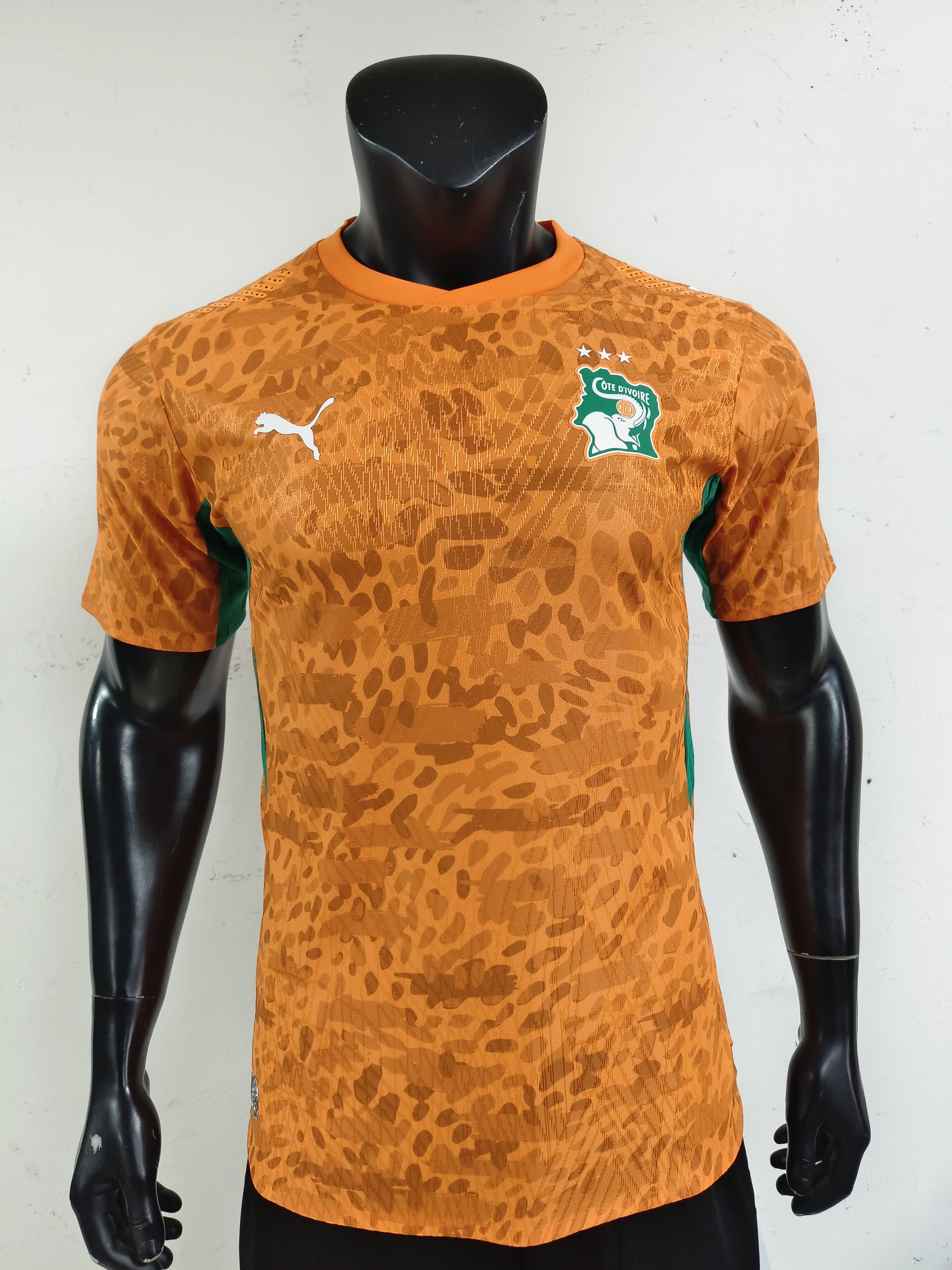 Ivory Coast home ground