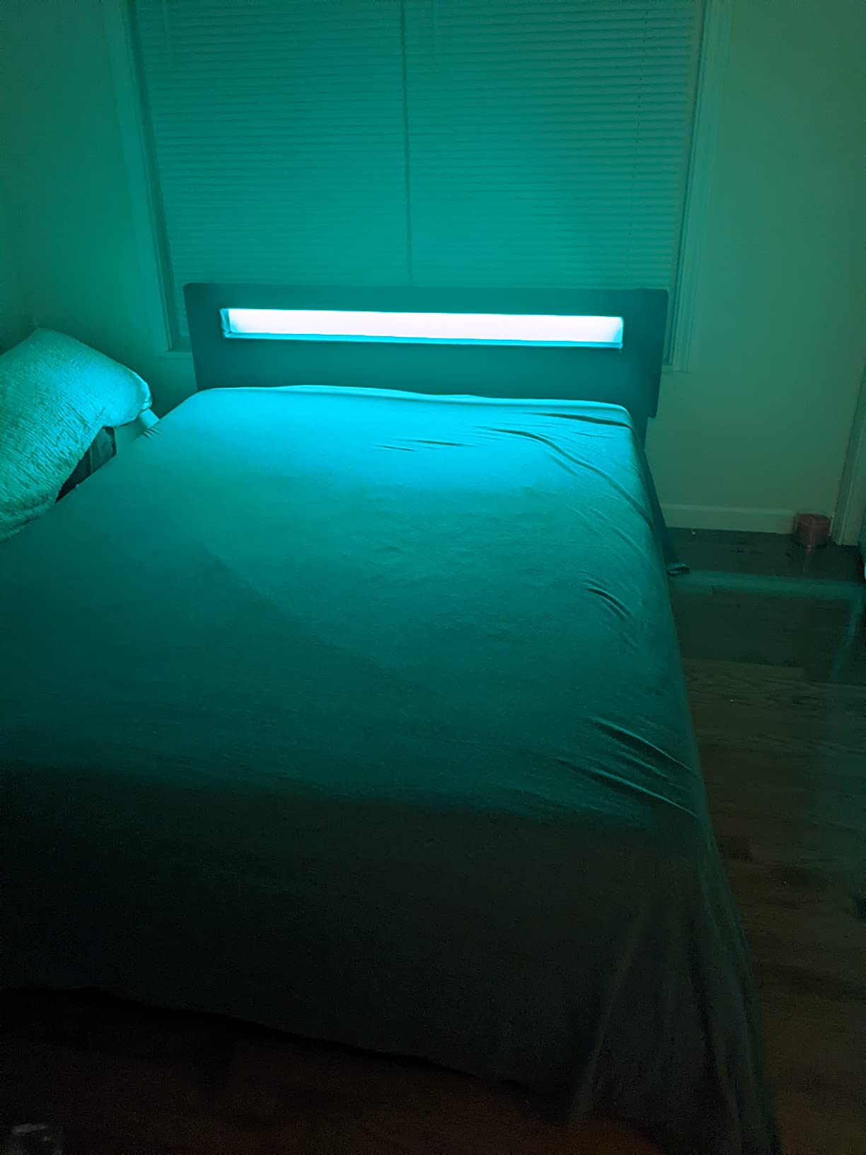Pezzolla LED Bed - Contemporary Modern Low Profile Platform Bed