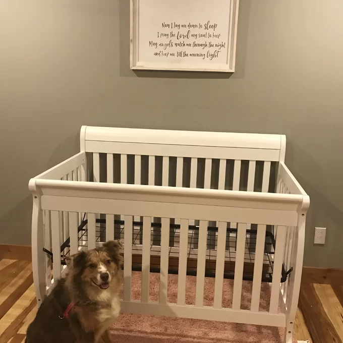 Kalani 4-in-1 Convertible Crib
