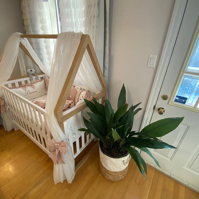 Orchard 5-in-1 Convertible Crib